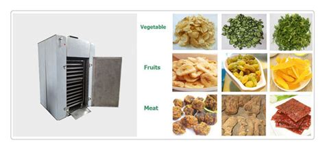 Small Hot Air Food Dryer Machine as Vegetable/Fruit Drying Machine