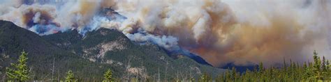 Jasper Wildfire Evacuation Essential Resources And Guidance Flash