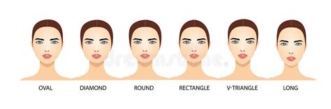 face shapes chart stock illustrations  face shapes chart stock