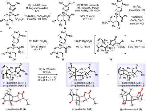 Biomimetic Synthesis Of Pallavicinin Neopallavicinin Pallambins Ad