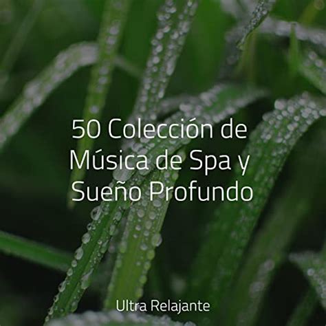 Amazon MusicでMúsica a Relajarse Naturaleza Relajacion Lluvia PQの50