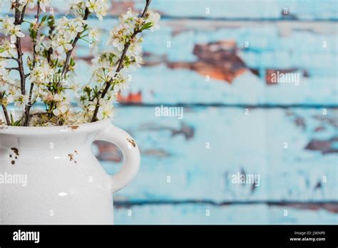 White Blossoms In A Vintage Vase Stock Photo Alamy