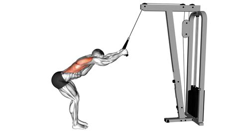 10 Cable Machine Core Exercises For A Stronger And Defined Midsection