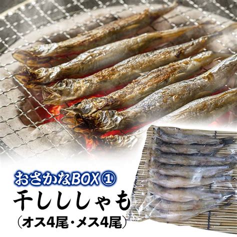 【楽天市場】【ふるさと納税】【12月23日入金分まで 年内発送】おさかなbox 北海道産 干物 セット ひもの ほっけ ししゃも 氷下魚 釧路