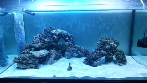 Aquascaping Show Your Skills Page Reef Central Online