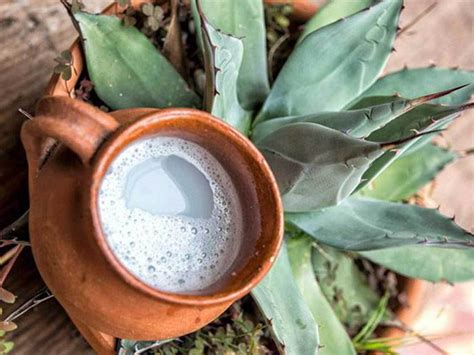 El Pulque M S Que Tradici N Es Pura Nutrici N Noticias Del Agro