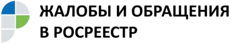 Обращение в Росреестр с заявлением: проверка исполнения запроса