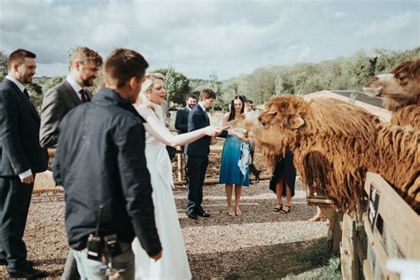 This 55000 Uk Farm Wedding Had Everything Including The Animals