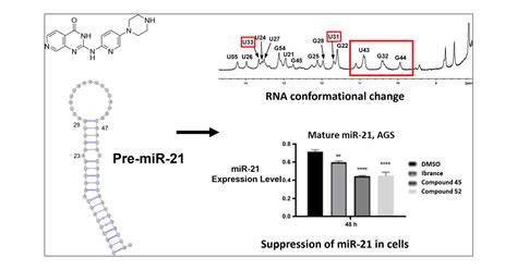 Drug Like Small Molecules That Inhibit Expression Of The Oncogenic