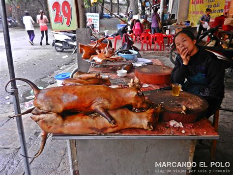 llorar dos vaquero que paises comen perros problema Vástago peligroso