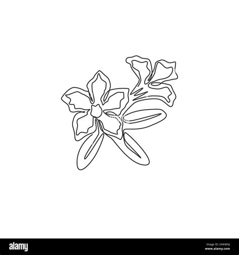 One Continuous Line Drawing Of Fresh Beauty Adenium For Garden Logo