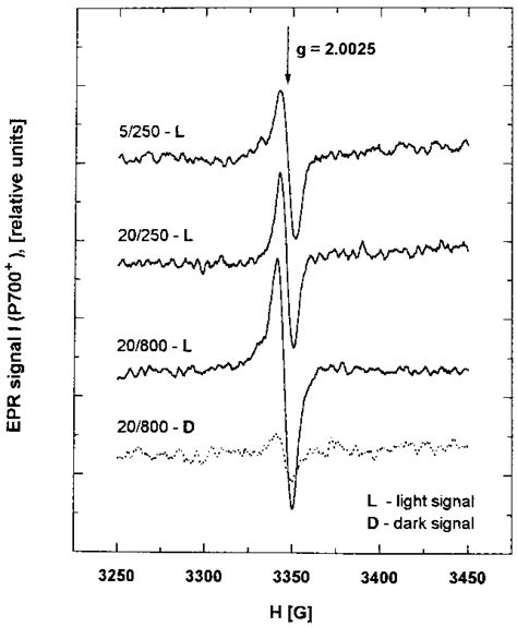 EPR Spectra Of The Light Induced EPR Signal I P700 In Thylakoids