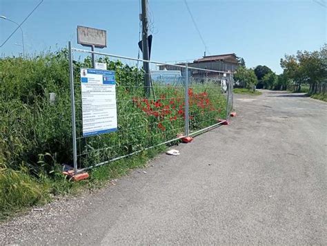 Civita Castellana Primo Tratto Di Via Di Celle Al Via Il Rifacimento