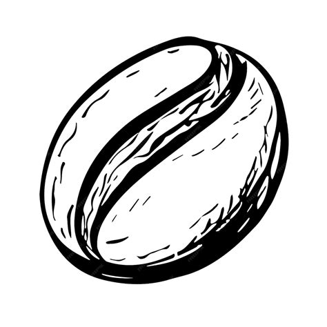 Premium Vector Coffee Bean Black And White Vector Illustration For