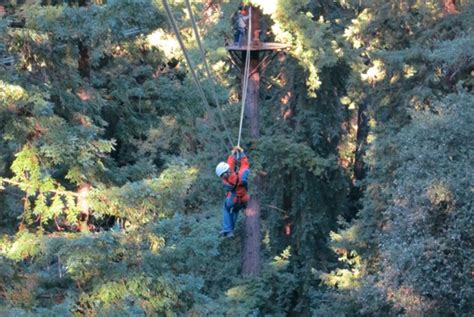 Zip Lining In The Redwoods Santa Cruz