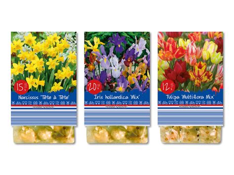 Bulbi Di Fiori Primaverili Lidl Svizzera Archivio Offerte