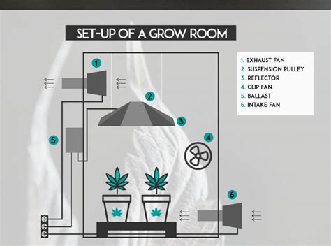 How To Set Up A Grow Tent Detailed Steps Explained Medicgrow