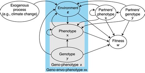 A Mathematical Framework For Evo Devo Dynamics