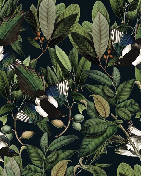 Botanical Wallpapers Top Free Botanical Backgrounds Wallpaperaccess