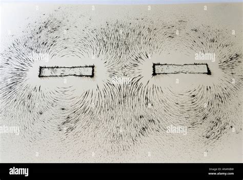 Magnetic field lines around a bar magnet shown with iron filings, like ...