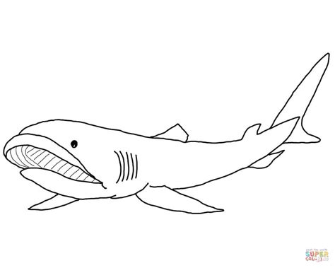 Dibujo De Tiburon Megalodonte Para Colorear Dibujos Para Colorear