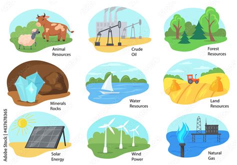 types  natural resources vector illustrations set animal