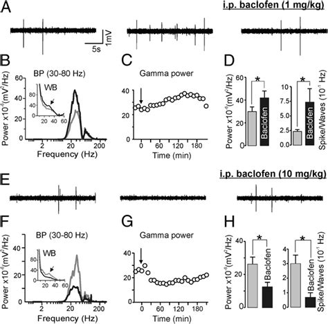 Dose Dependent Effects Of I P Baclofen On γ Activity And Interictal Download Scientific