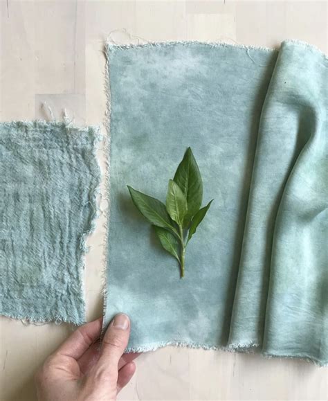 How To Make Natural Dyes For Fabric Wonder Forest