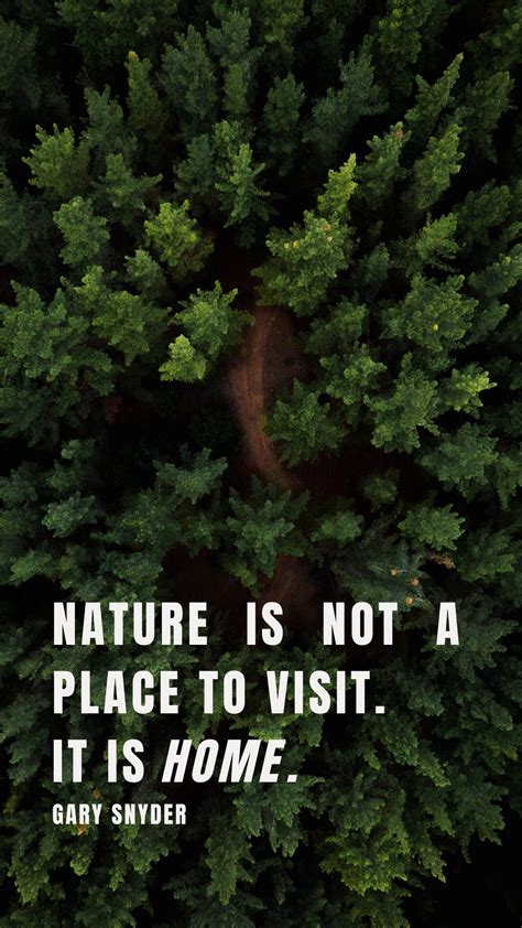 10 Inspiring Nature Quotes - Lena Samford