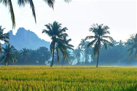 Daerah Dataran Tinggi Di Indonesia 2021