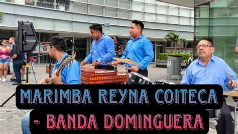 Marimba Reyna Coiteca Banda Dominguera Youtube