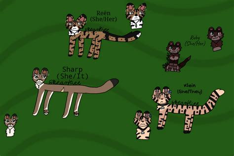 Wild Cat Ocs By Streamflowerr On Deviantart