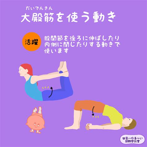 Anatomy Yogaリアル解剖学教室 5．大殿筋（だいでんきん）はどんな動きで使いますか？