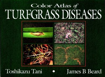 Color Atlas Of Turfgrass Diseases E Book Viutulij Livejournal