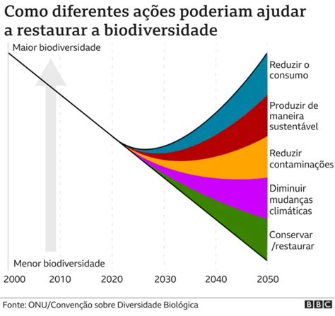 Somos A Esp Cie Mais Perigosa Da Hist Ria Cinco Gr Ficos Sobre O