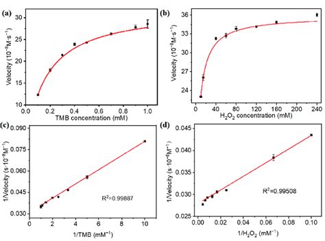 Steady State Kinetic Analysis Of LBPIC As A Peroxidase Mimetic