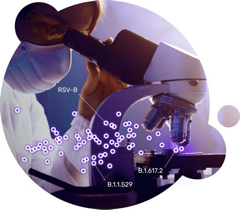 Efficient Pseudoviruses And Neutralization Assays Kits