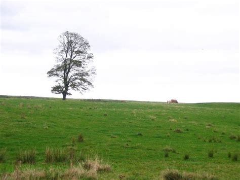 Visit Fossoway 2024 Travel Guide For Fossoway Kinross Expedia