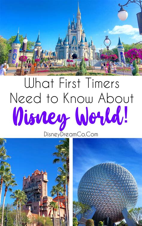 First Time At Disney World Things You Need To Know Artofit