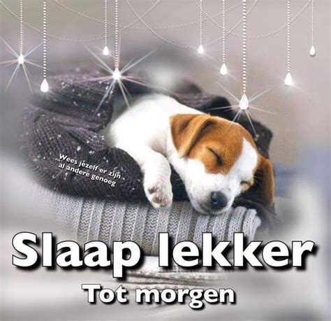 ᐅ welterusten slaap lekker Welterusten Leukeplaatjes nl