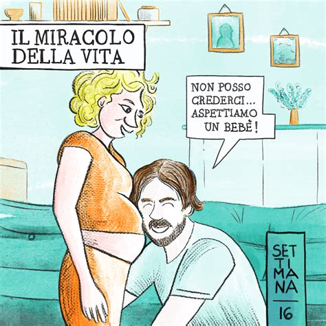 Episodio Il Miracolo Della Vita Sedicesima Settimana Di