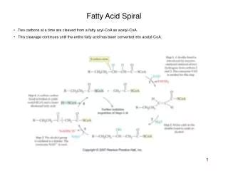 Ppt Fatty Acid Synthesis Lipogenesis Lipolysis Powerpoint