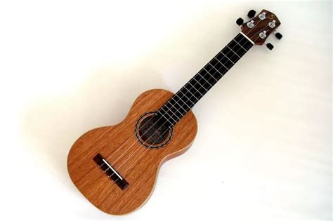 How To Play Cadd9 On Ukulele Things You Need To Know