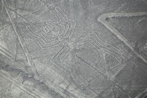 Vista Aérea De Las Líneas De Nazca Geoglifo Araña Perú 2022