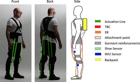 Frontiers Pneumatic Quasi Passive Actuation For Soft Assistive Lower