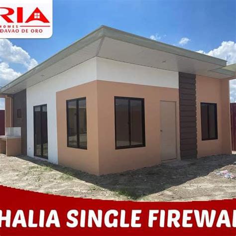 Thalia Single Firewall In Majada Calamba House And Lot November