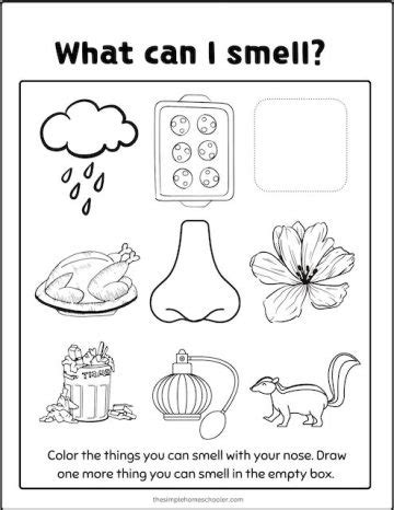 Best Senses Coloring Pages Free Easy Print The Simple Homeschooler