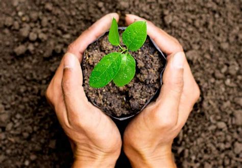 Naked Gardening Day May National Today