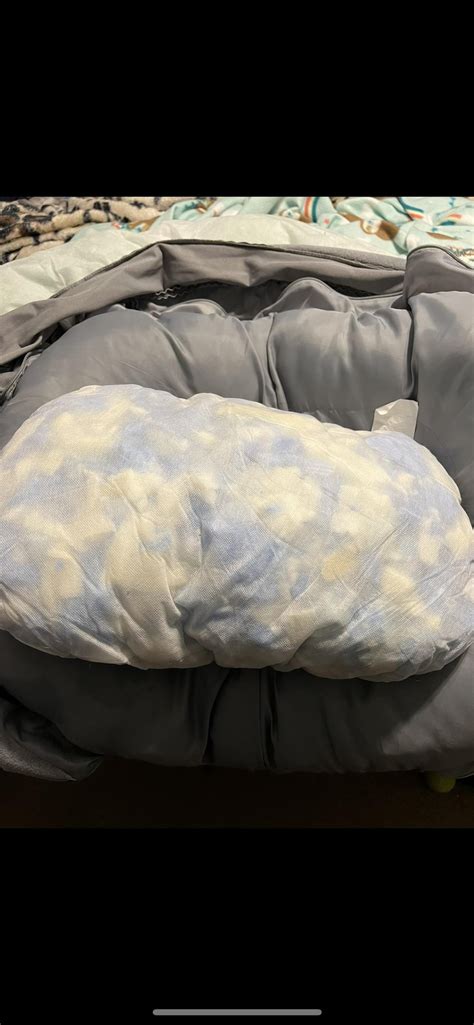 Best Way To Wash Dog Bed Inserts Rcleaningtips