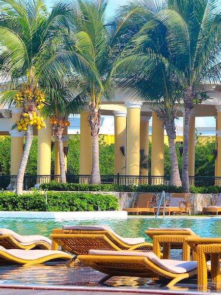 discover  beauty  riviera maya  paradise  mexicos riviera